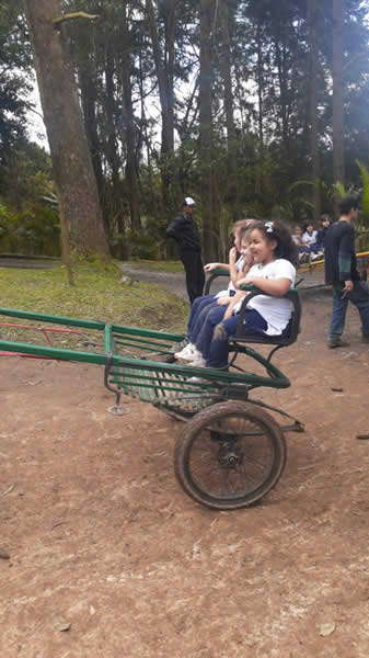 Bicho Mania 2022